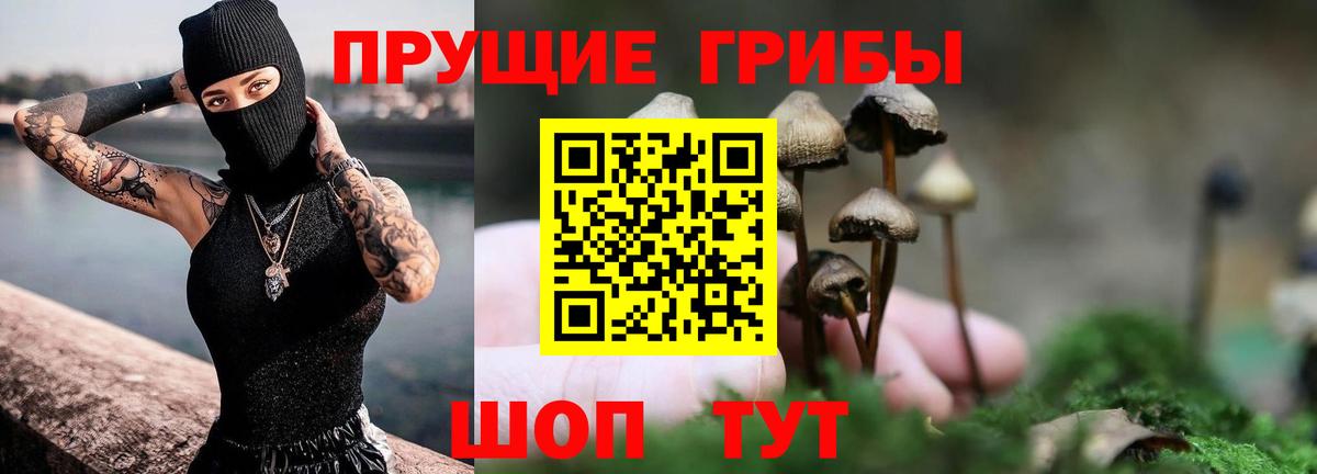 Галлюциногенные грибы Psilocybine cubensis  Псилоцибиновые грибы GOLDEN TEACHER  Сочи  Вход с VPN 